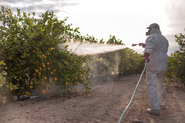 Best Pest Control Near Me  in Bowmansville, PA
