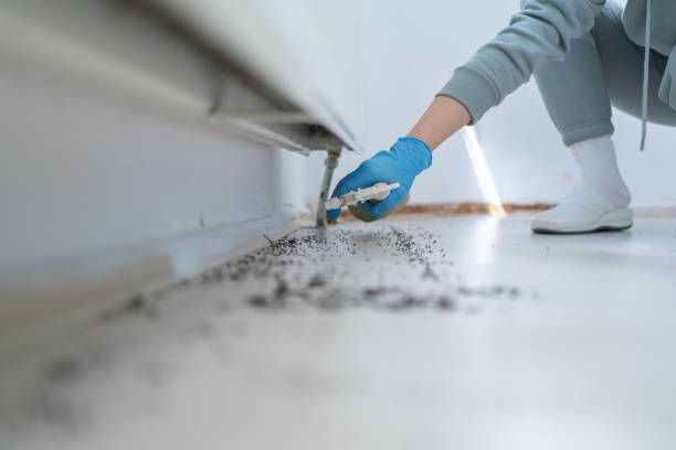 Best Best Pest Control Companies  in Bowmansville, PA